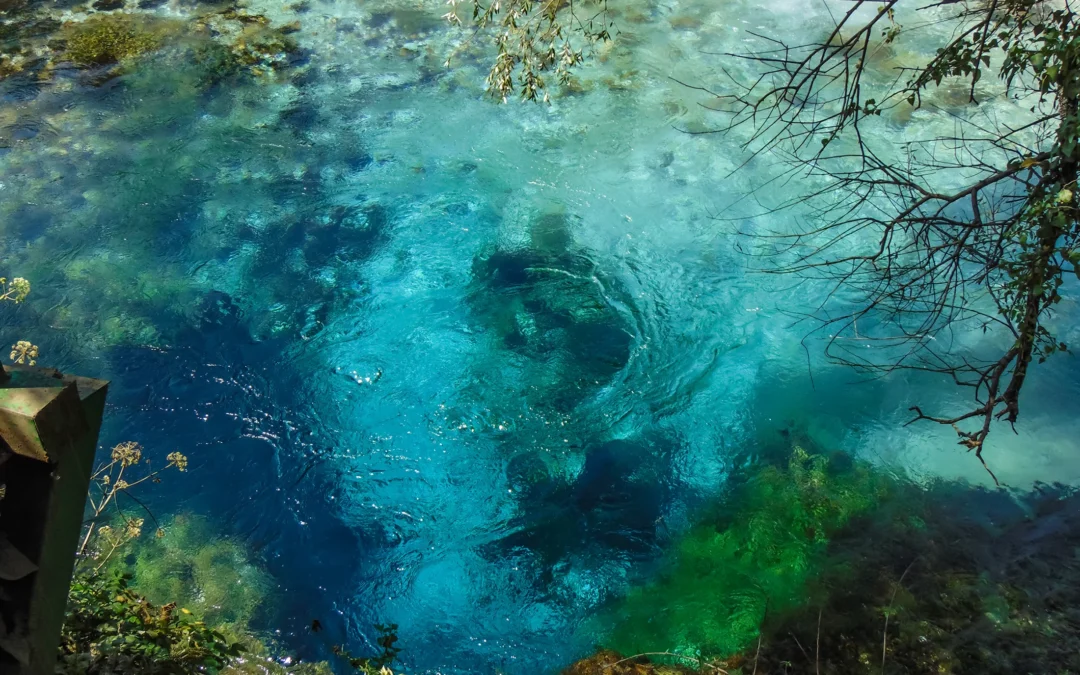 Die Realität des Schamanismus