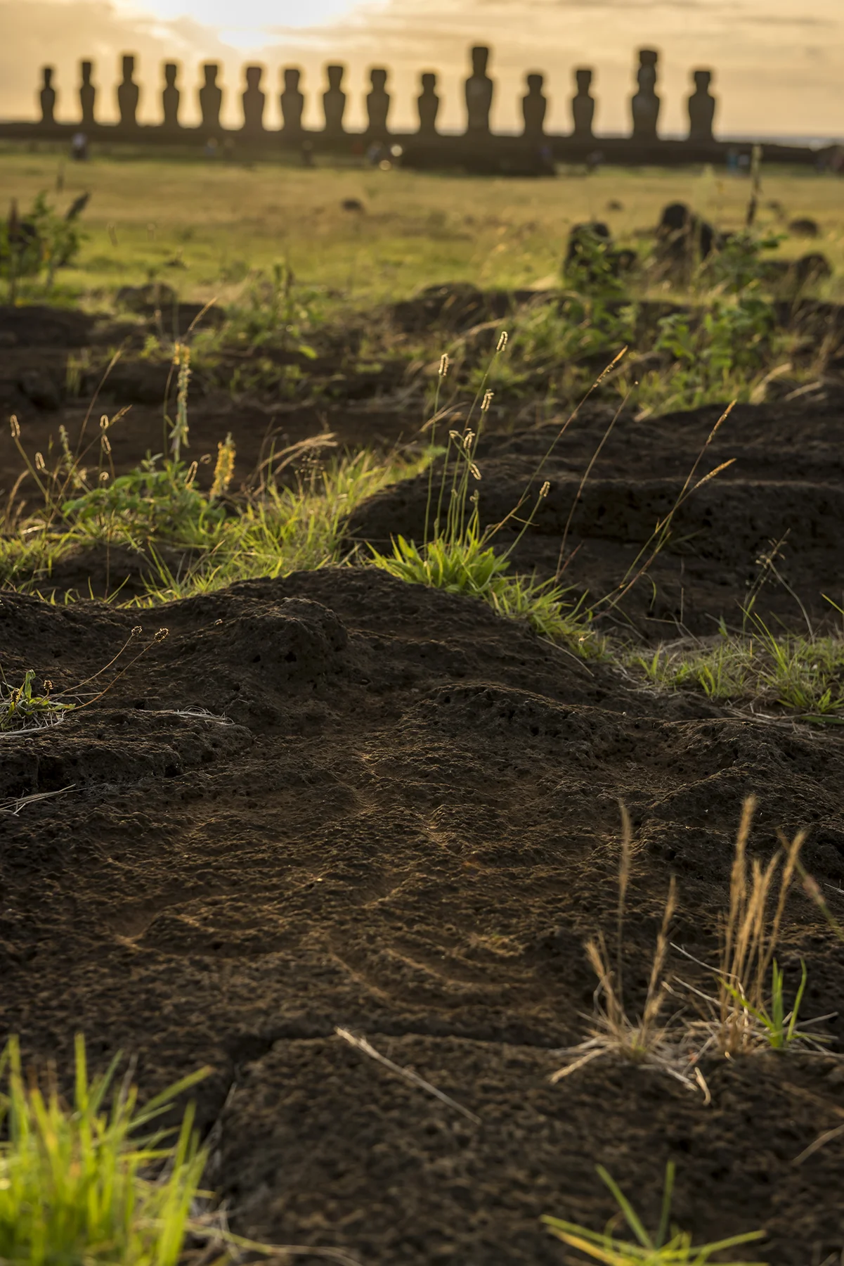 Schamanis Illumination Byern