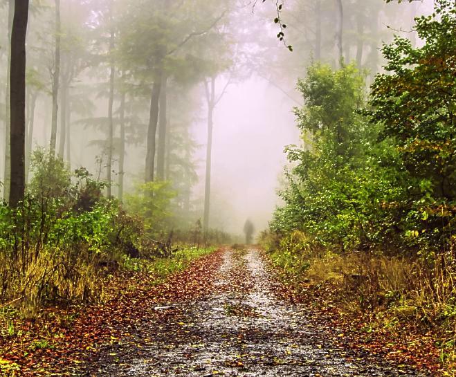 Schamane in Bayern Karma schamanisch heilen 2 Schamane in München rueckfuehrung perezvoecking